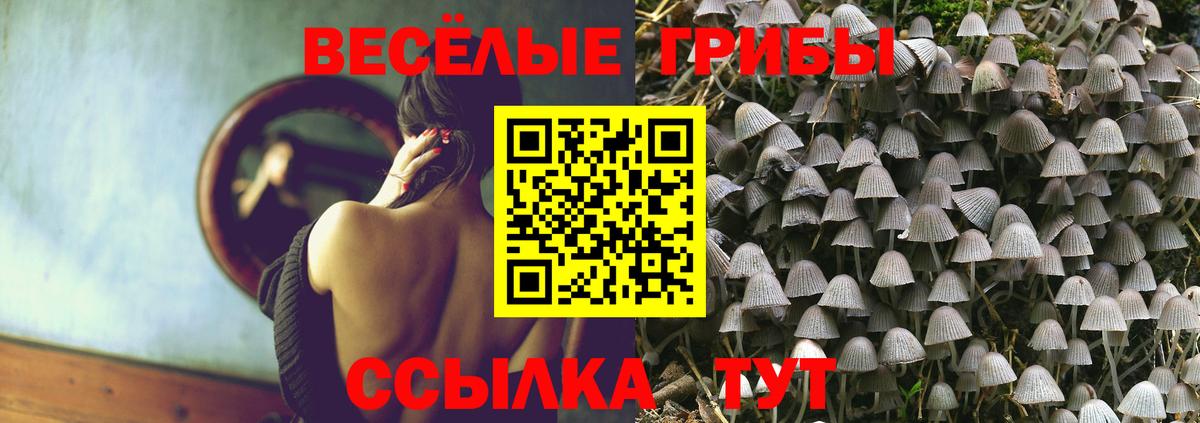 Псилоцибиновые грибы мицелий  Псилоцибиновые грибы Psilocybine cubensis  Вход с VPN  Йошкар-Ола 